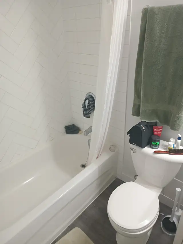 Lease Takeover: 1 Bedroom apartment on Dutch Village Road - Photo 3