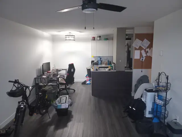 Lease Takeover: 1 Bedroom apartment on Dutch Village Road - Photo 6