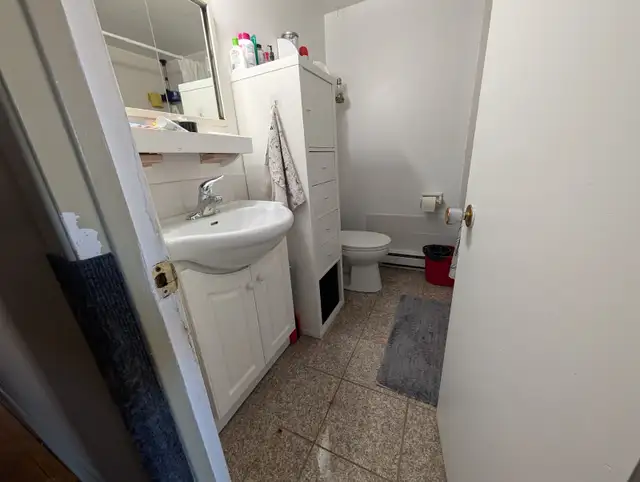Grand 4 ½, 1465 Rue Beaumont,Longueuil, 1 Juillet. 2026 - Photo 2