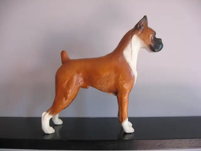 BOXER COLLECTIBLES $225