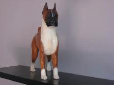 BOXER COLLECTIBLES $225 - Photo 3