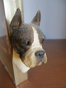 BOXER COLLECTIBLES $225 - Photo 7