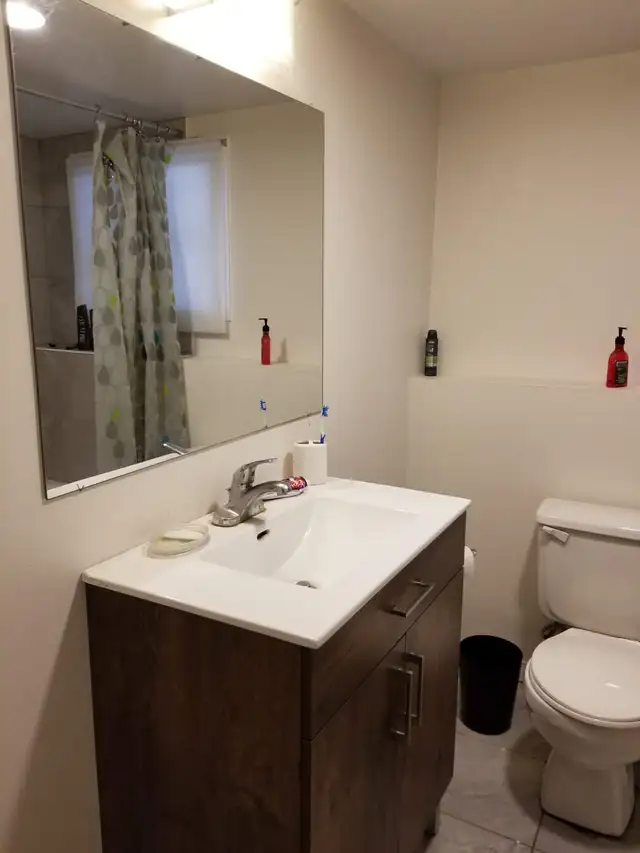 Bright and Spacious 2BD/1BA basement in Allendale - South Barrie - Photo 3
