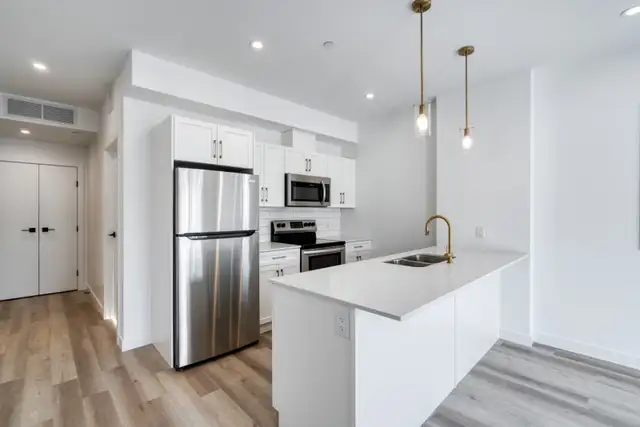 LUXURY 2 Bed 2 Bath Apartment! Move In Ready!