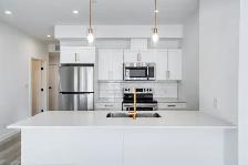 LUXURY 2 Bed 2 Bath Apartment! Move In Ready! - Photo 2