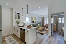 LUXURY 2 Bed 2 Bath Apartment! Move In Ready! - Photo 6