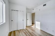 LUXURY 2 Bed 2 Bath Apartment! Move In Ready! - Photo 9