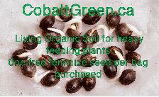 Living organic soil
