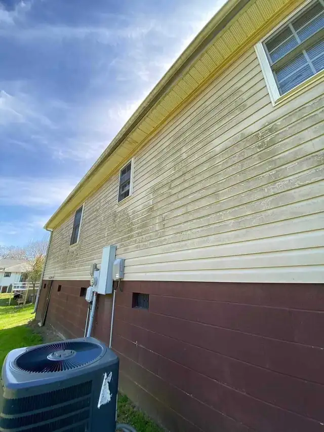 pressure wash / soft wash specialists - Photo 7