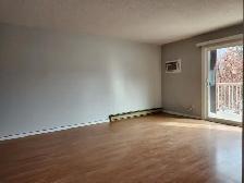 Nicola Apartments #216 - Merritt, BC - Photo 5