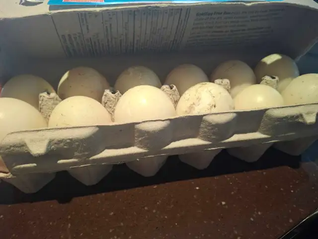 duck eggs (not fertilized)