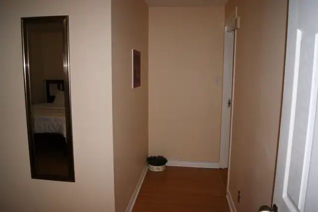 A huge room for rent fully furnished! $850 - Photo 3