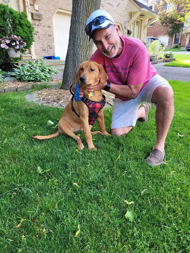 DAVE THE DOG WALKER
