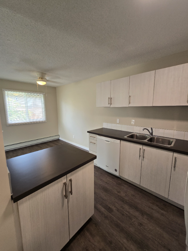 Modern 2 Bedroom on North End - Photo 3