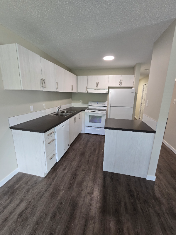 Modern 2 Bedroom on North End - Photo 4