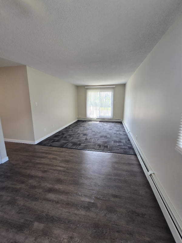 Modern 2 Bedroom on North End - Photo 5