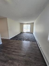 Modern 2 Bedroom on North End - Photo 5