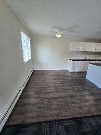Modern 2 Bedroom on North End - Photo 6