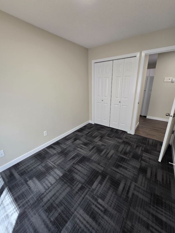 Modern 2 Bedroom on North End - Photo 9