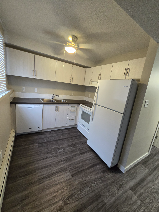 Modern Ground Floor 1 Bedroom Available Now - Photo 2