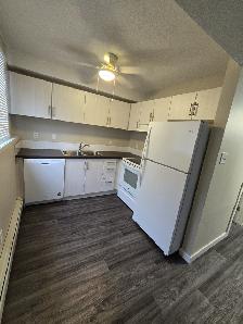 Modern Ground Floor 1 Bedroom Available Now - Photo 2