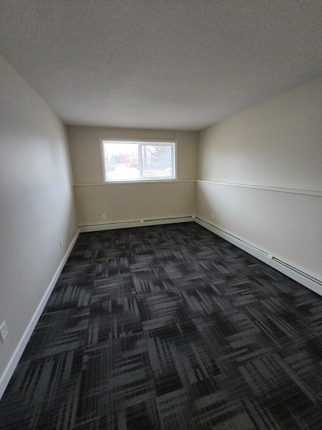 Modern Ground Floor 1 Bedroom Available Now - Photo 4