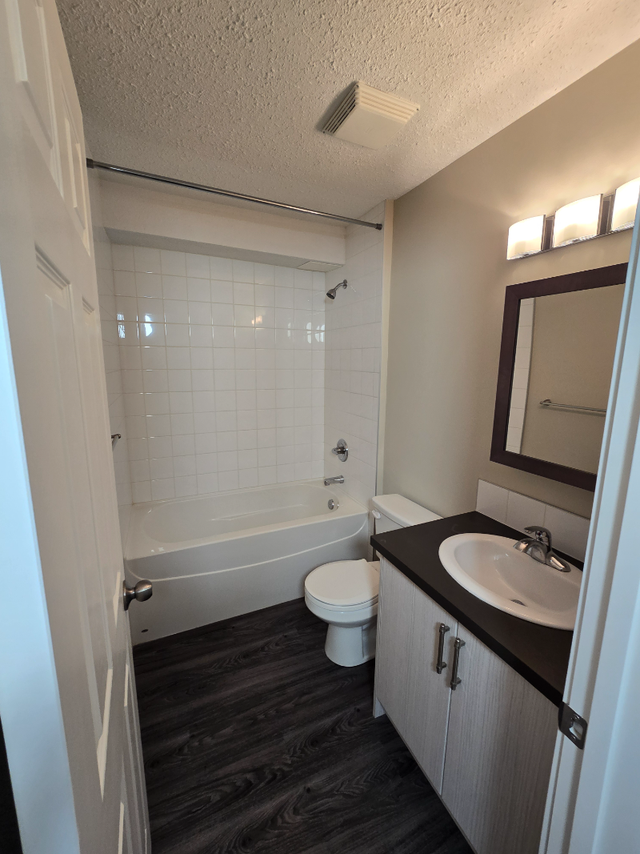Modern Ground Floor 1 Bedroom Available Now - Photo 5