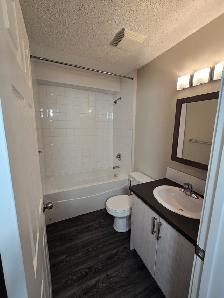 Modern Ground Floor 1 Bedroom Available Now - Photo 5