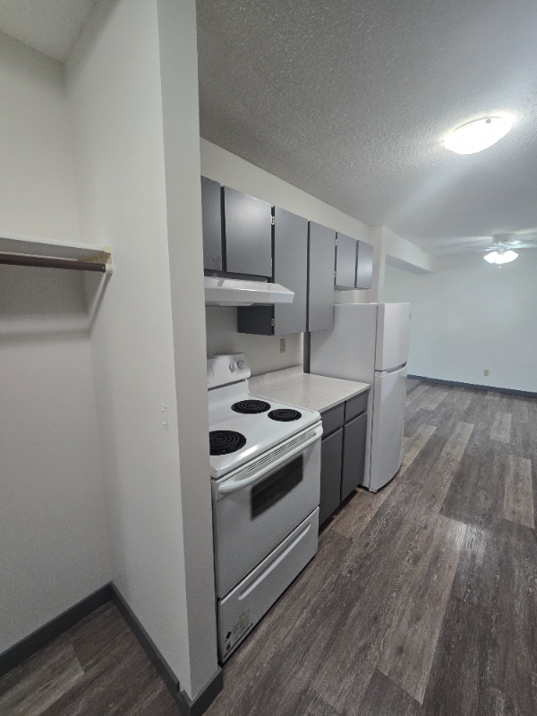 Spacious Two Bedroom on the South Hill - Photo 6