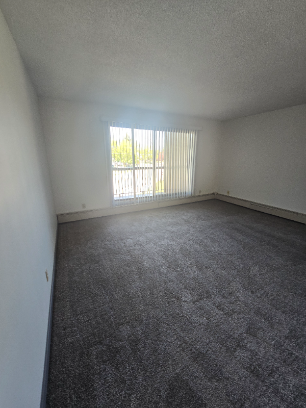 Spacious Two Bedroom on the South Hill - Photo 7