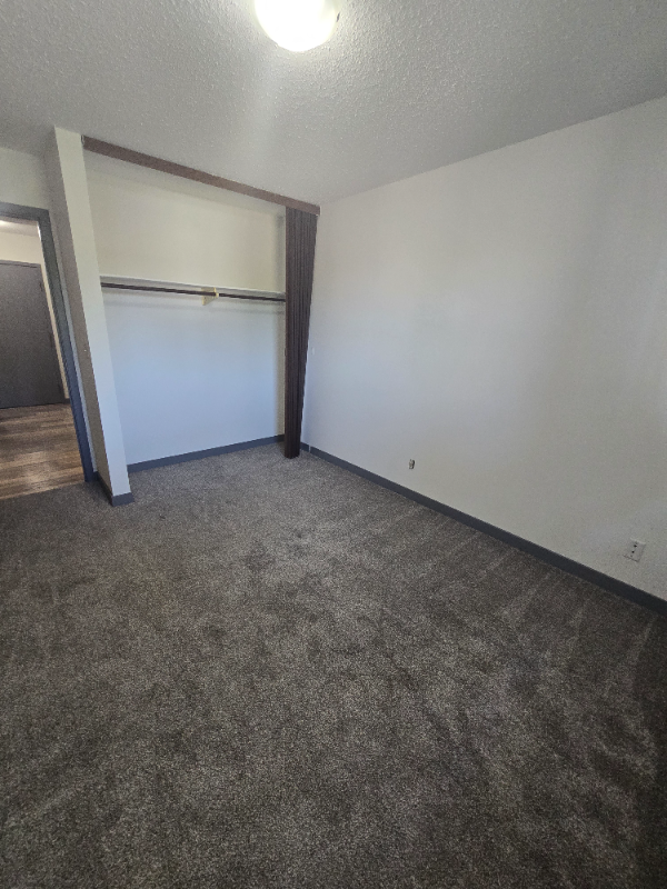 Spacious Two Bedroom on the South Hill - Photo 9