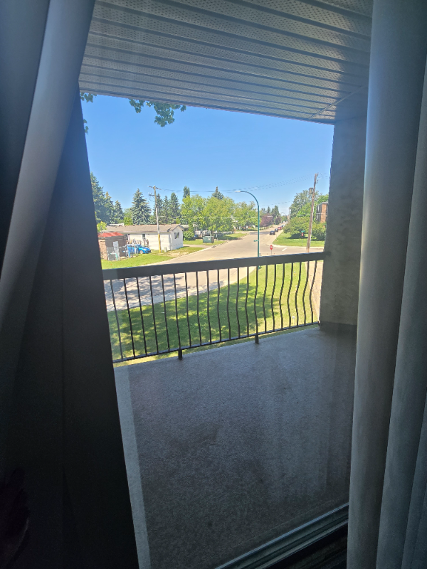 Spacious Two Bedroom on the South Hill - Photo 10