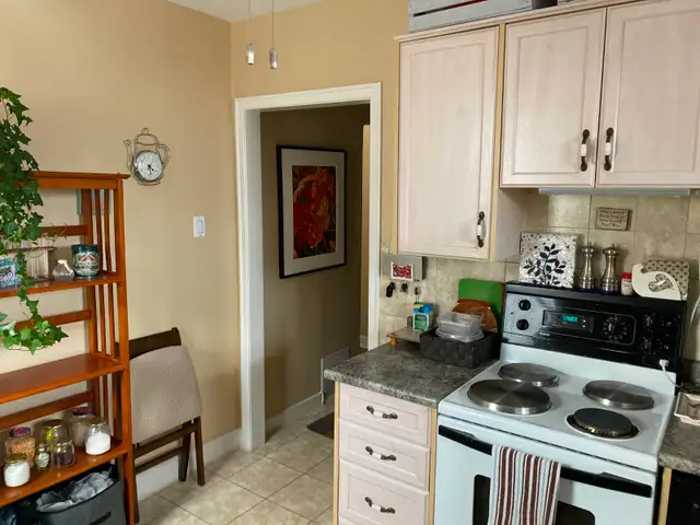 MAIN FLOOR DUPLEX SUITE LEGAL CONFORMING APARTMENT SUITE - Photo 7