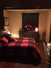1 BEDROOM MAIN FLOOR, FULLY RENOVATED! DOWNTOWN!