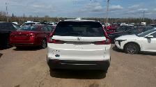2025 Honda CRV AWD - Photo 5