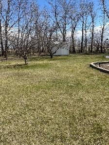 Land with house - Photo 4