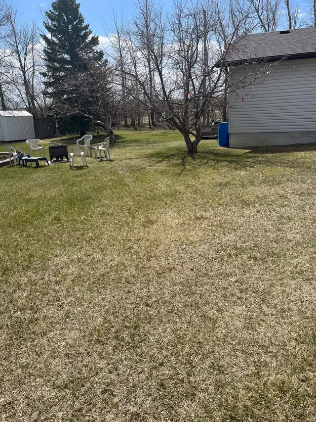 Land with house - Photo 6