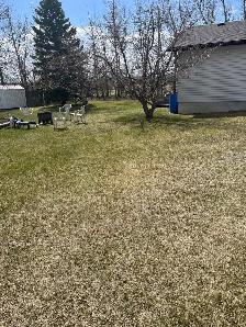 Land with house - Photo 6