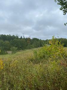 1.64 acres by Clear Lake Mb