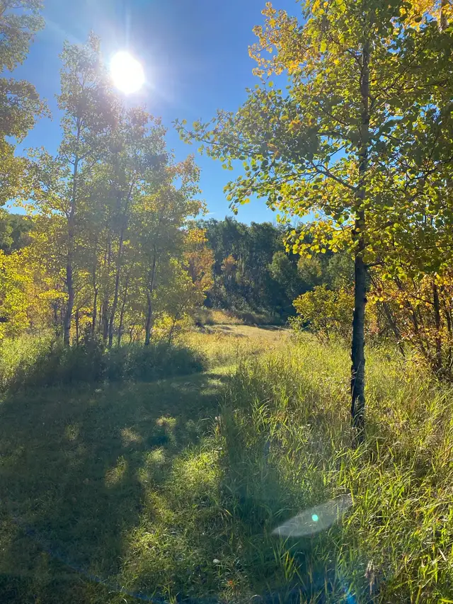 1.64 acres by Clear Lake Mb - Photo 2