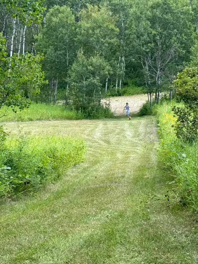 1.64 acres by Clear Lake Mb - Photo 3