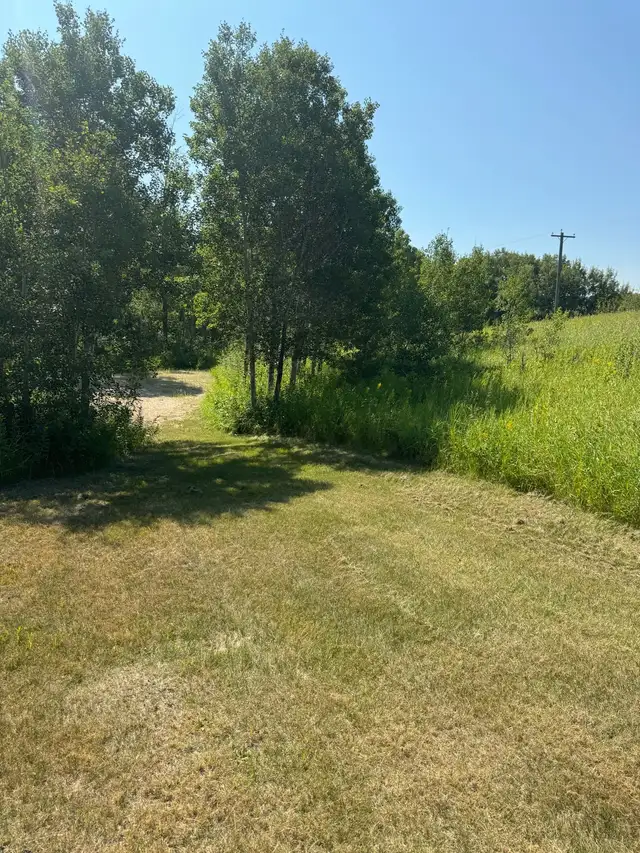 1.64 acres by Clear Lake Mb - Photo 4