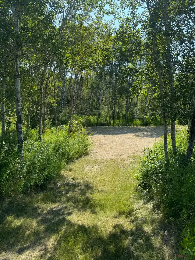 1.64 acres by Clear Lake Mb - Photo 5