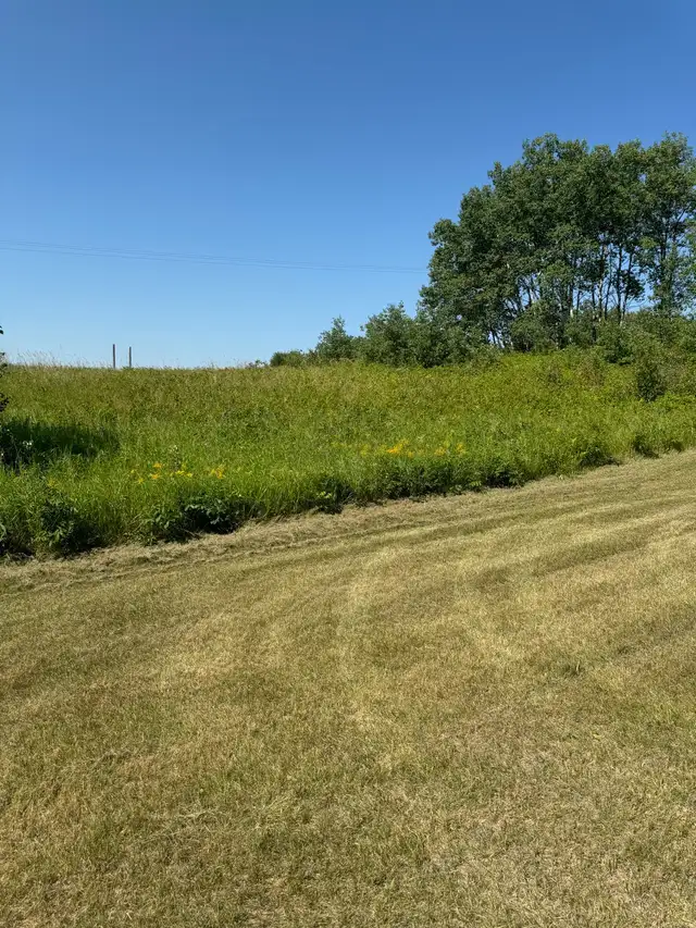 1.64 acres by Clear Lake Mb - Photo 6