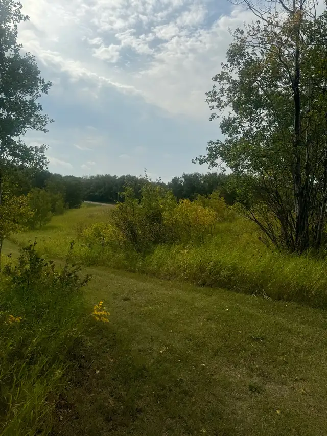 1.64 acres by Clear Lake Mb - Photo 8
