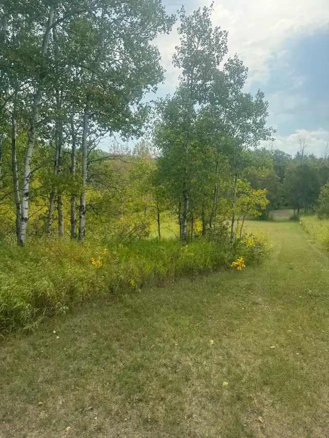 1.64 acres by Clear Lake Mb - Photo 10
