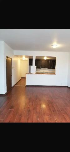 $2350 / 2 BEDROOM APARTMENT (DUNDAS & DOVERCOURT) - Photo 2