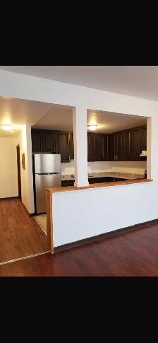 $2350 / 2 BEDROOM APARTMENT (DUNDAS & DOVERCOURT) - Photo 4