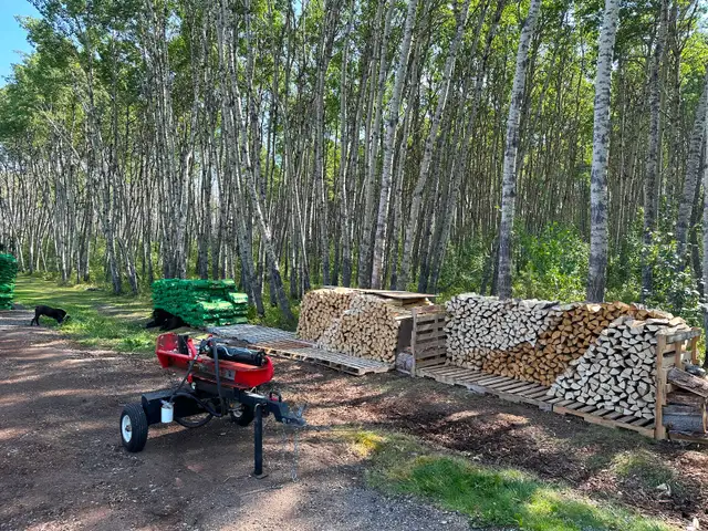 FIREWOOD 4 SALE! - Photo 2