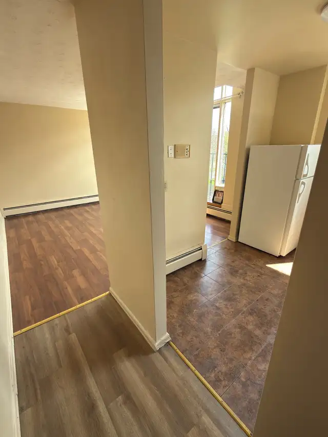 Cute & Cozy All Inclusive 1 Bdrm Apt Available June 1st - Photo 3